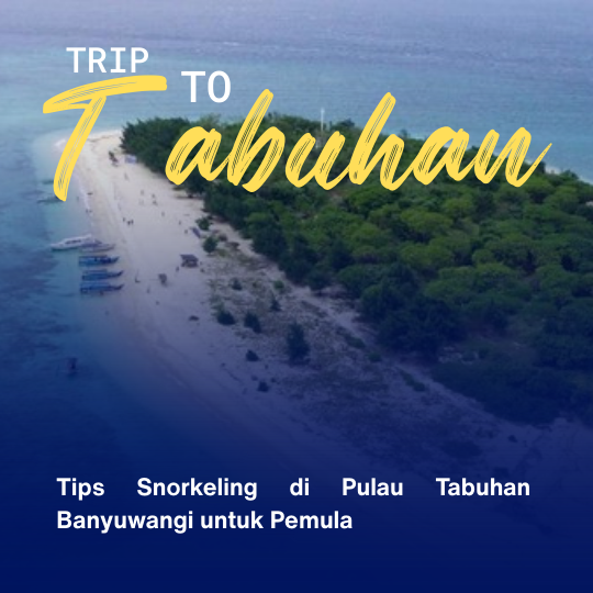 Tips Snorkeling di Pulau Tabuhan Banyuwangi untuk Pemula