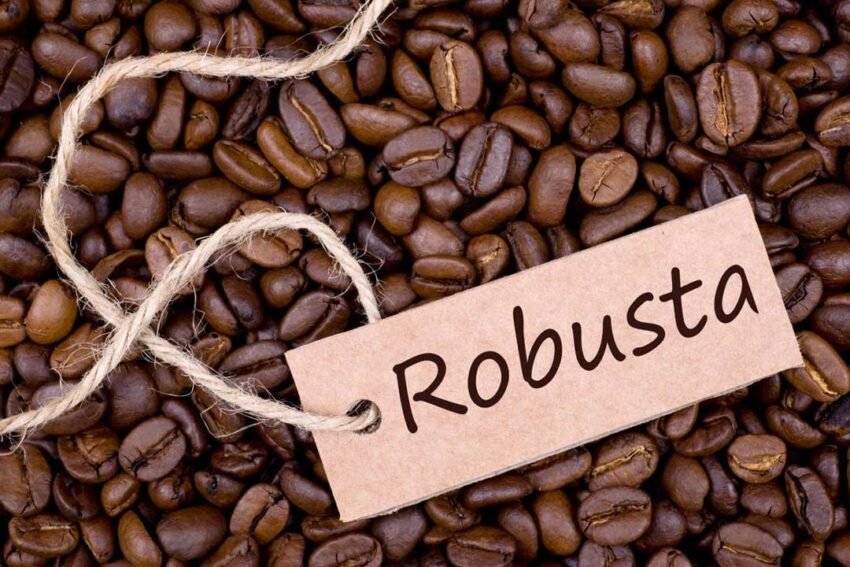 Apakah robusta bagus untuk espresso